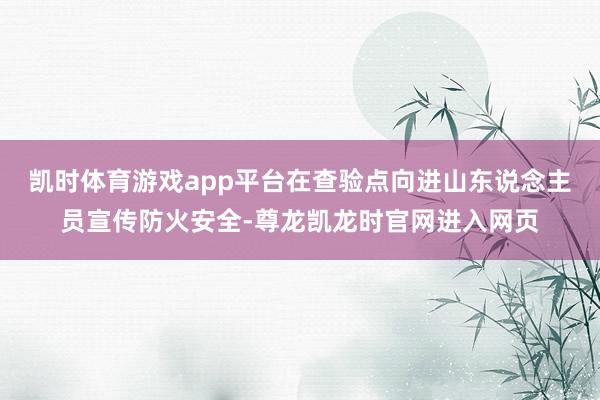 凯时体育游戏app平台在查验点向进山东说念主员宣传防火安全-尊龙凯龙时官网进入网页