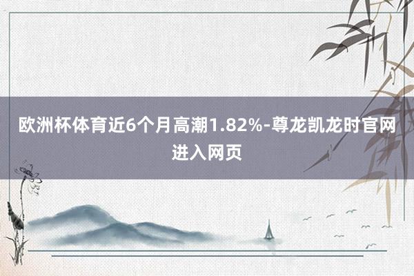 欧洲杯体育近6个月高潮1.82%-尊龙凯龙时官网进入网页