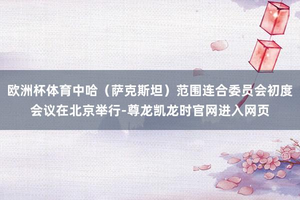 欧洲杯体育中哈(萨克斯坦)范围连合委员会初度会议在北京举行-尊龙凯龙时官网进入网页
