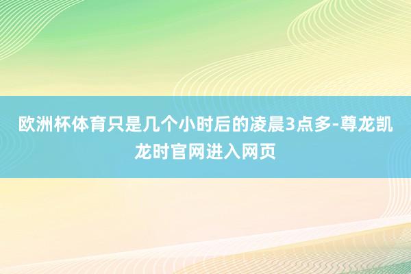 欧洲杯体育只是几个小时后的凌晨3点多-尊龙凯龙时官网进入网页