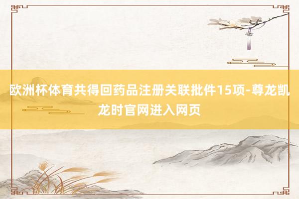 欧洲杯体育共得回药品注册关联批件15项-尊龙凯龙时官网进入网页