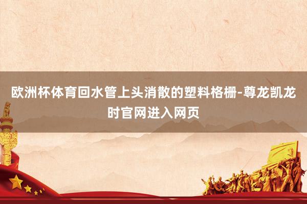 欧洲杯体育回水管上头消散的塑料格栅-尊龙凯龙时官网进入网页