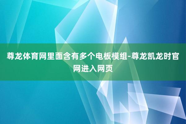 尊龙体育网里面含有多个电板模组-尊龙凯龙时官网进入网页