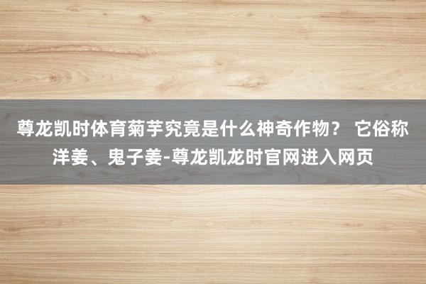 尊龙凯时体育菊芋究竟是什么神奇作物? 它俗称洋姜、鬼子姜-尊龙凯龙时官网进入网页